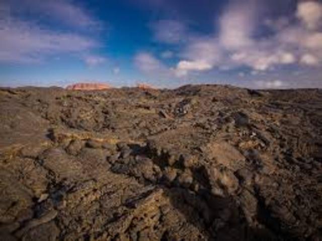 Brown soil startes to form