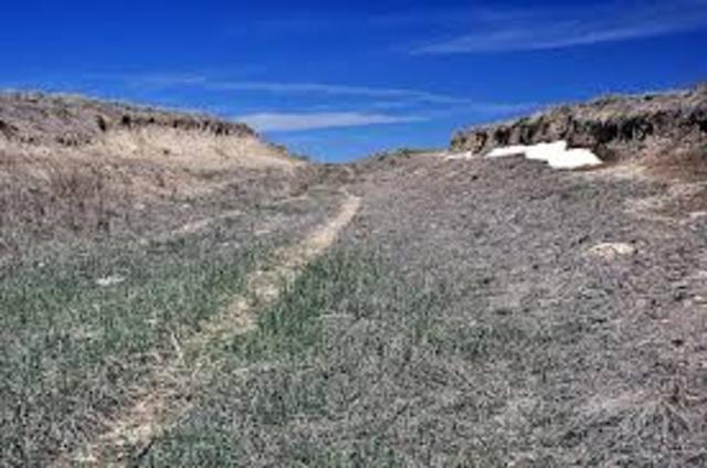 Grass is growing now