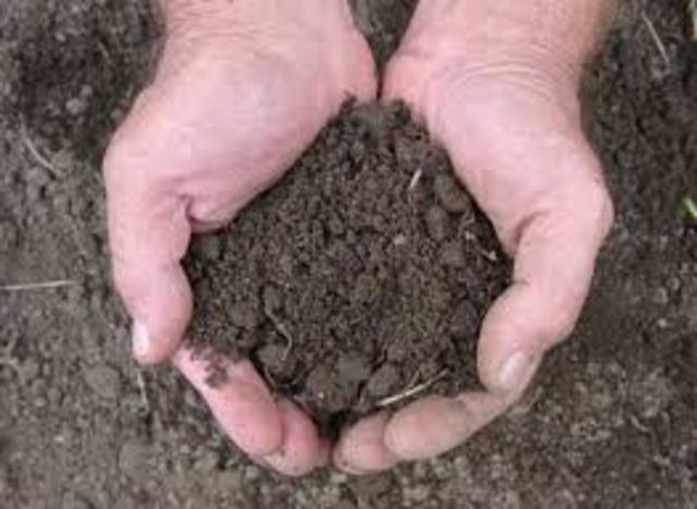 Brown soil