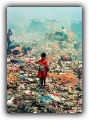 "The Population Bomb" is published.