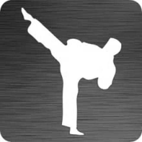 Tae Kwan Do