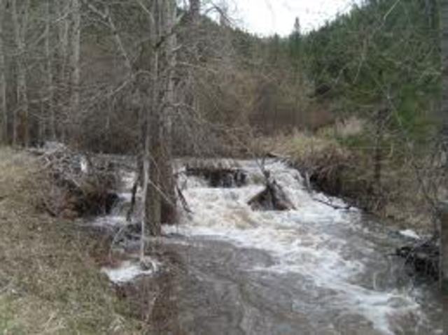 Top Soil and Nutrients