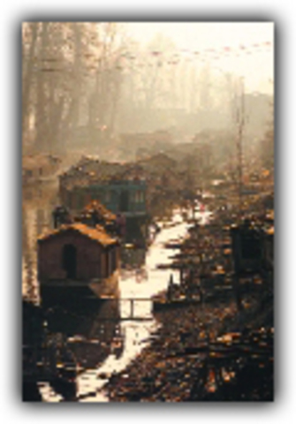 2,200 scientist discuss problems of pollution, hunger, war...