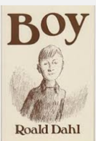 boy  ( 143 pages )