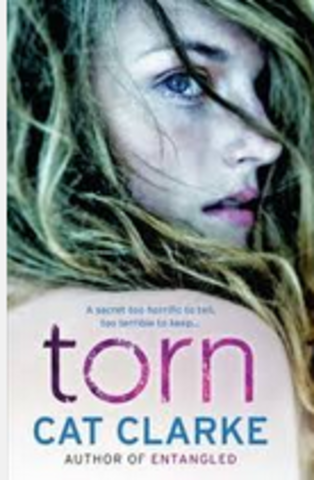 Torn  Amanda Hocking  ( 251 pages )