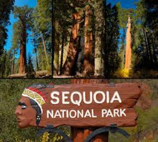 Yosemite and Sequoia National Parks founded