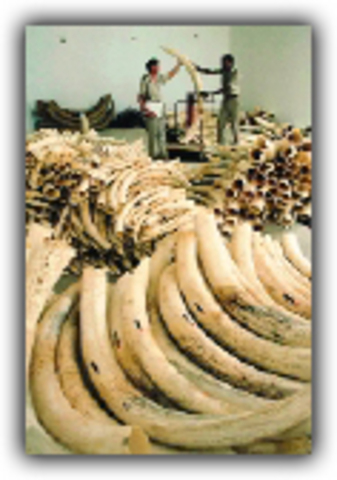 Crackdown on blackmarket trade.