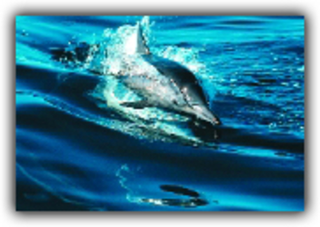 UN Convention on the Law of the Sea