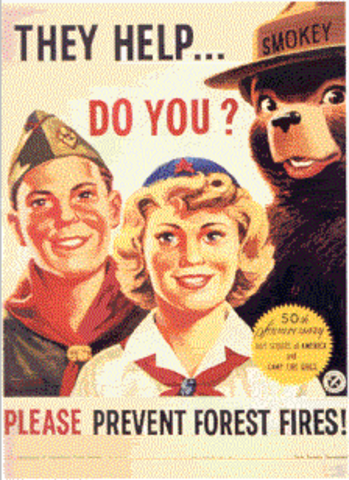 Boy Scouts of America is founded
