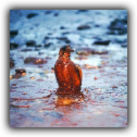 Exxon Valdez tanker spills in Alaska