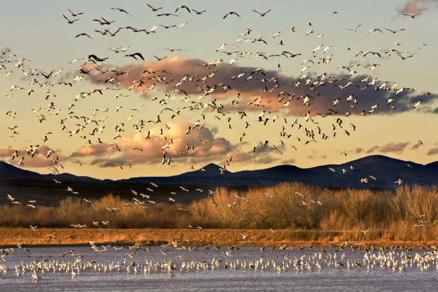 First national wildlife refuge established
