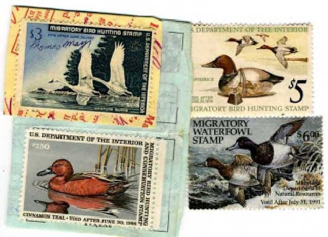 Migratory Bird Hunting Stamp Act