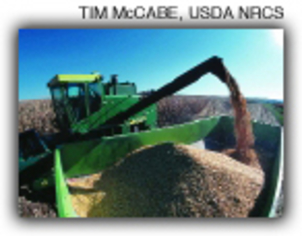 Exporting of GE crops