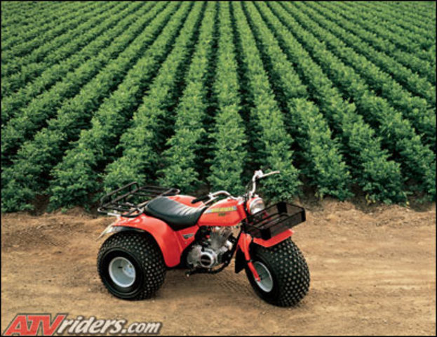 Most powerful three-wheeler