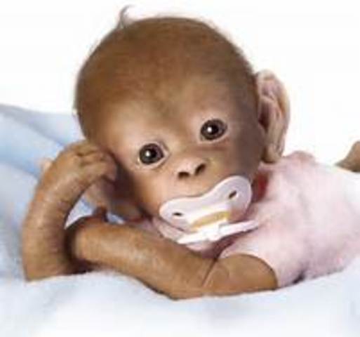 Christian/Coco daddy is born