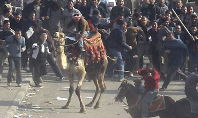 "Incident of the Camel" Protests