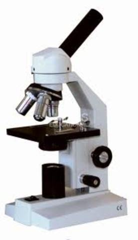 Light Microscope