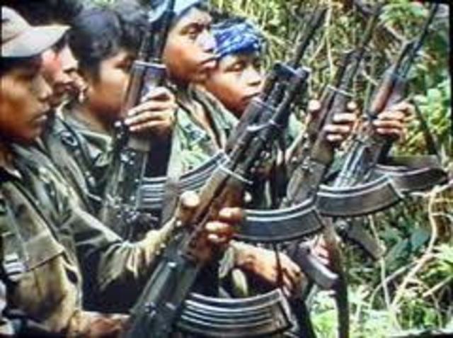 Guerrilla warfare operations