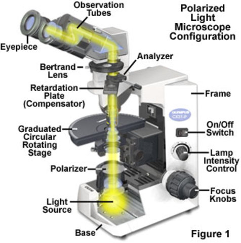Invention of the Light Microscope