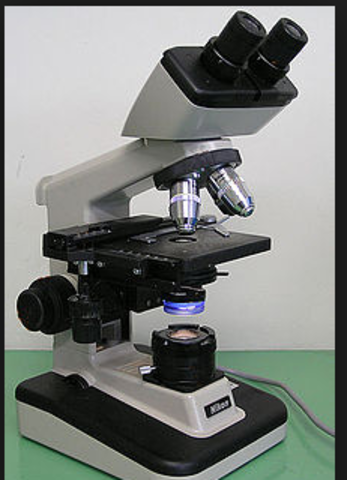 Invention of the Electron Microscope