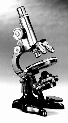 Invention of the Light  Microscope