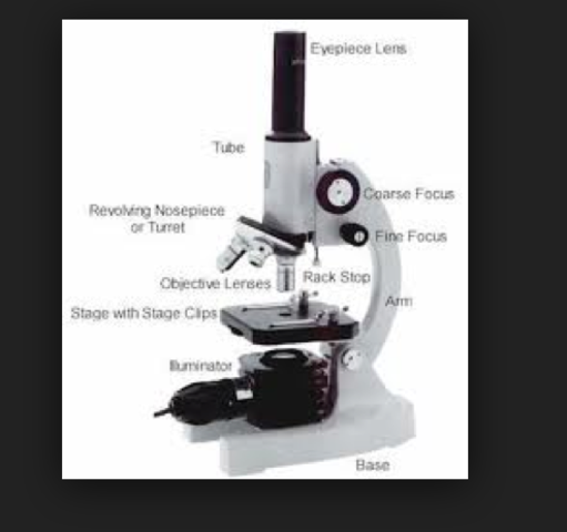 Invention of the Light Microscope