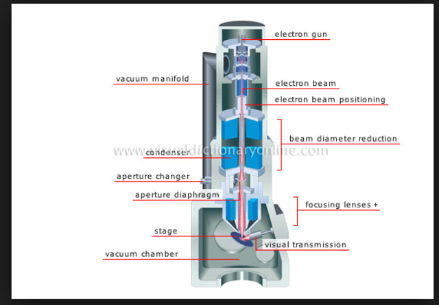 Electrone Microscope