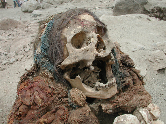 Pizarro dominates the Incas!