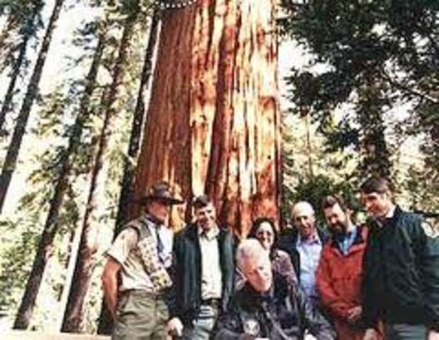 Bill Clinton Protects National Forests