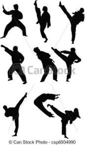 CAMPEONATOS MAS IMPORTANTES DE TKW