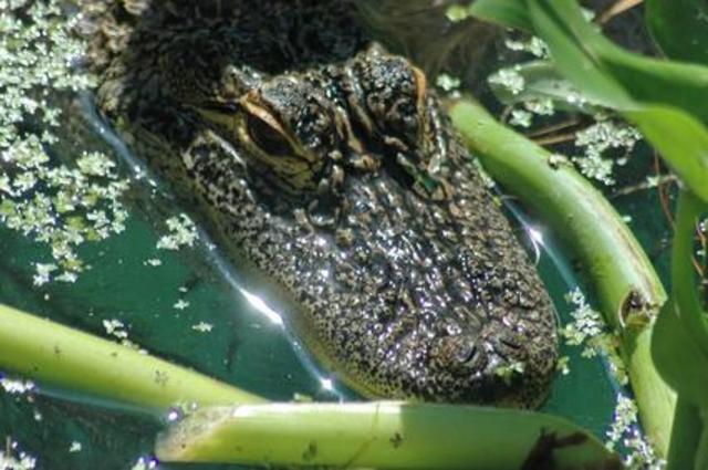 Mi primera vacación