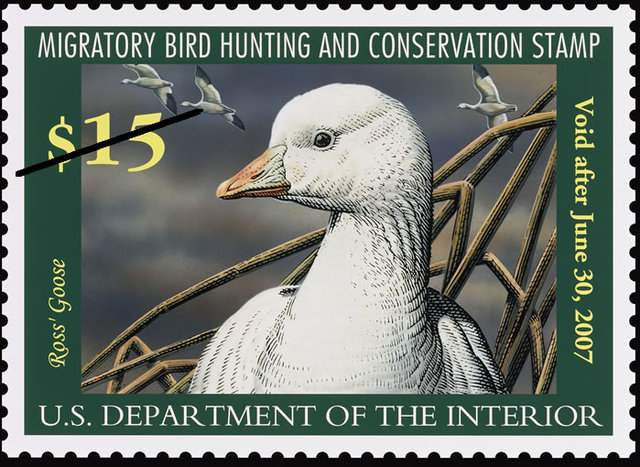 Migratory Bird Hunting Stamp Act