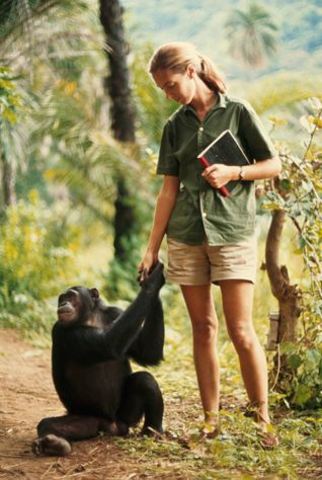 Jane Goodall