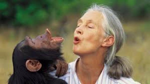 Jane Goodall