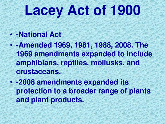 Lacey Act