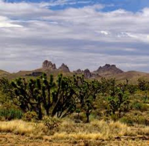 Deseert Protection Act