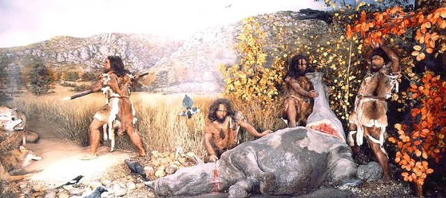 La préhistoire - 3 000 000 d'années