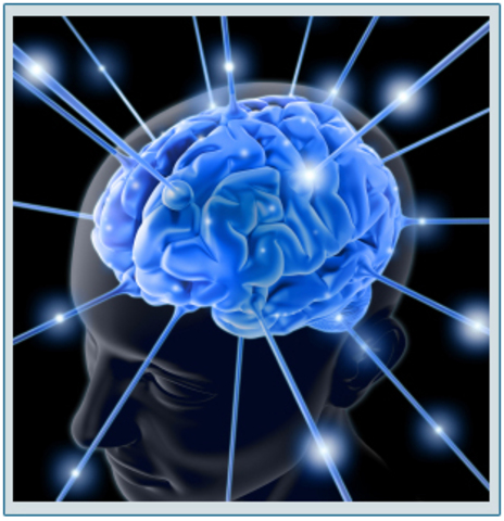 SUS ESTUDIOS EN NEUROEPIDEMIOLOGIA