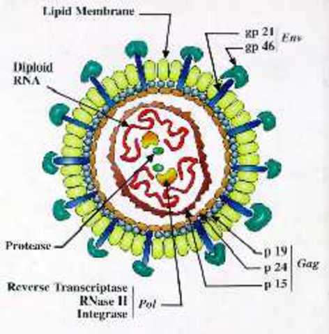 Estudios Clinicos e Investigaciones