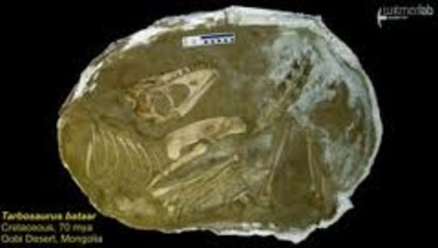 Scientists in the Gobi Desert