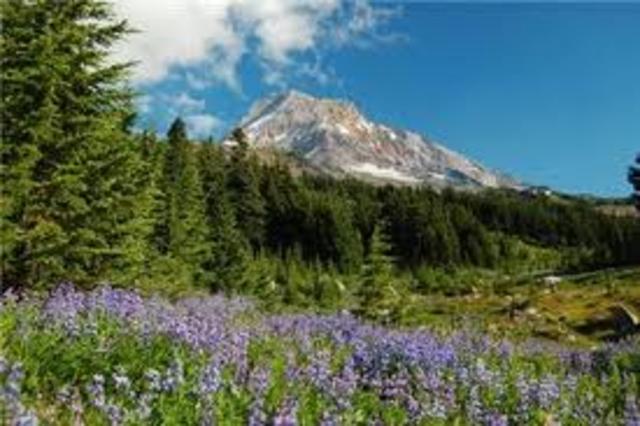 General revision act