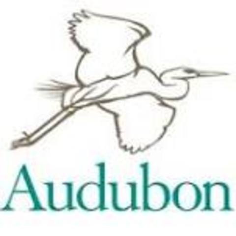 audubon society founded