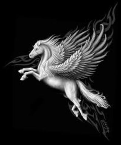 THISCO -now called Pegasus Solutions