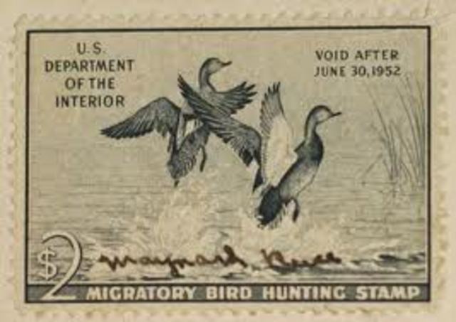 Migratory Bird Hunting Stamp Act
