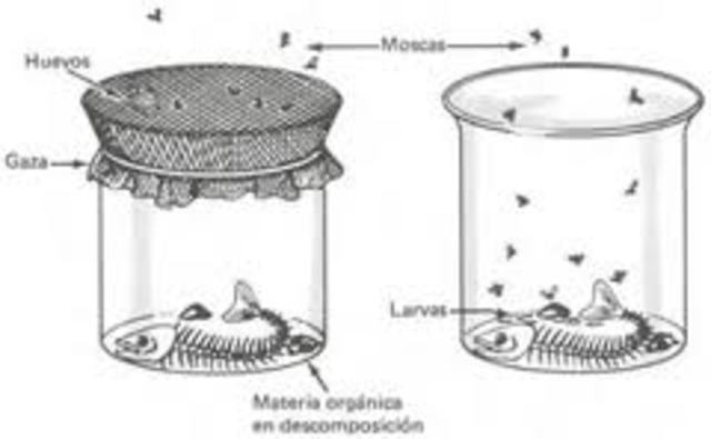 Teoria de biogenesis