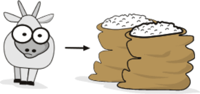 Revolución Neolitica