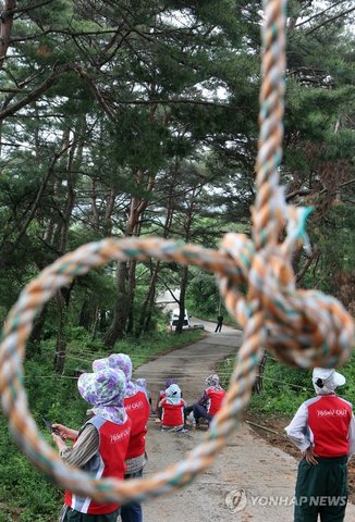 한전, 밀양시 4개면 6개 지역 공사 재개.