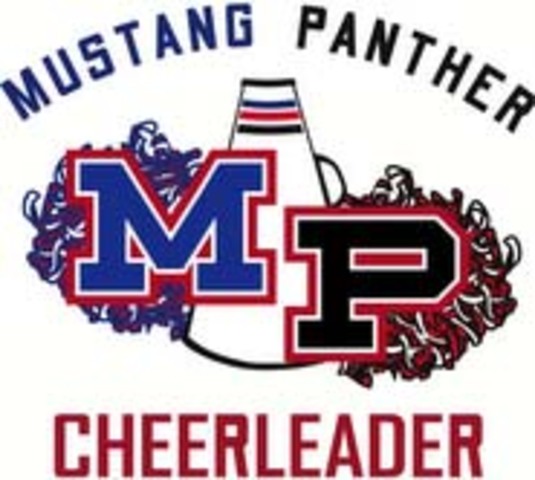 Director GCYFA Cheer