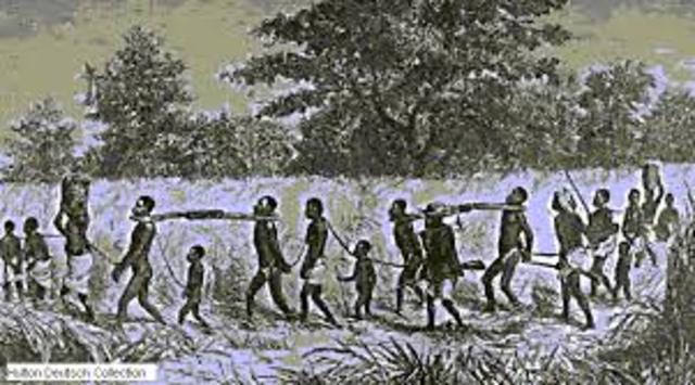 Esclavos son traidos