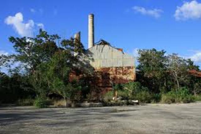 Central Eureka surge